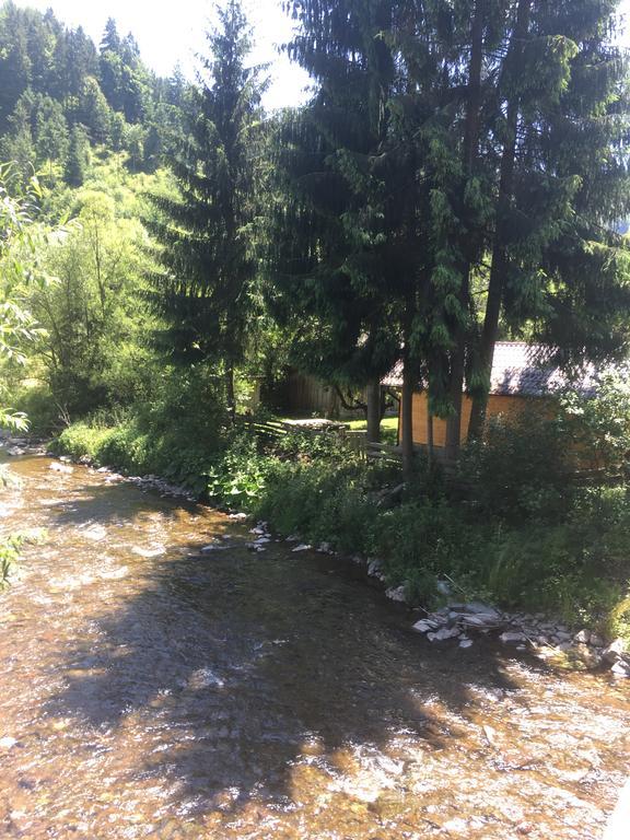Cabana Felyviss Gîrda de Sus Екстериор снимка